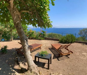 Punta Paradiso Rio Marina